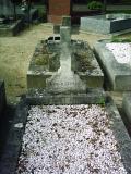 image of grave number 341199